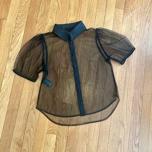 Sheer Black Button-Up Blouse